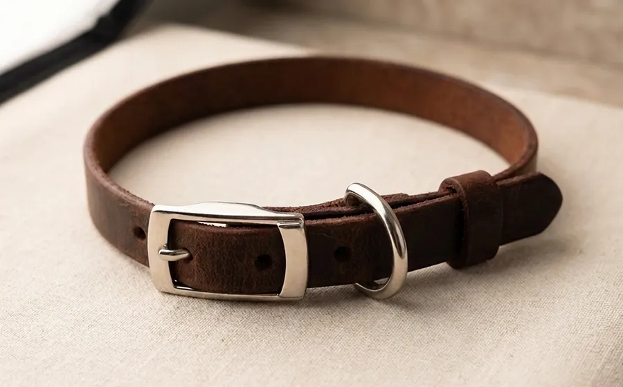 Deri Kedi Tasması — Handcrafted